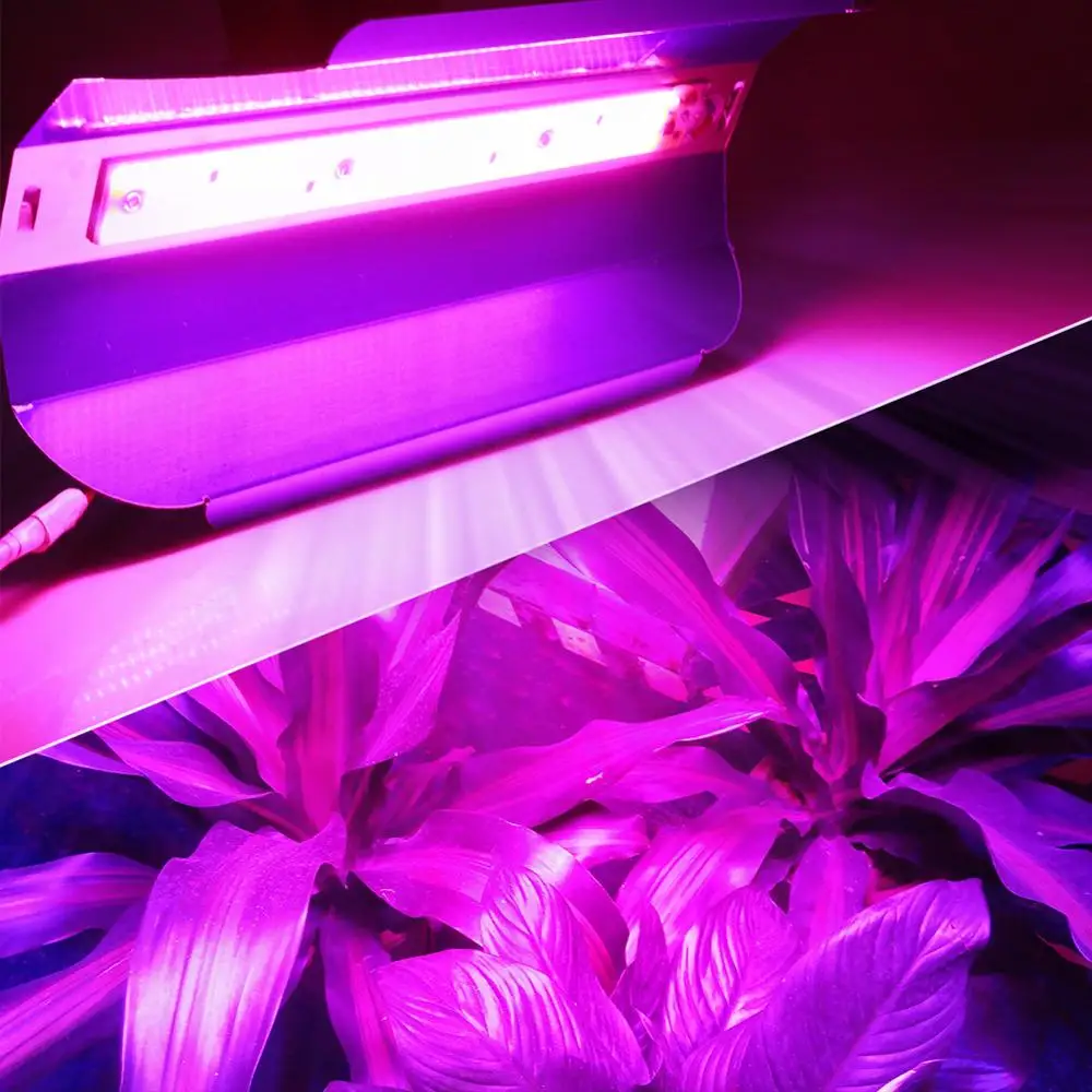 30 Вт 50 Вт 80 Вт Светодиодный светильник для выращивания света прожектор полный спектр высокой мощности COB светодиодный Фито лампа IP67 Водонепроницаемый растущий светильник для палаточных растений