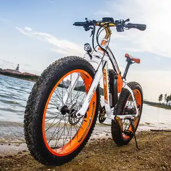 

RICHBIT TOP-022 48V 1000W 17Ah 21-Speed Mountain Snow Electric Bike Fat Tire 26inch Electric Bike and Lithium Li-ion Battery