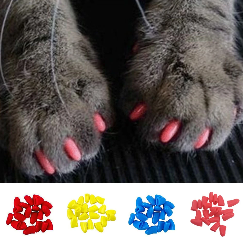 個のソフト猫ネイルキャップ 猫の爪カバー 足の爪 ペットシリコン爪送料無料で接着剤と Applictor L 猫のトリミング Aliexpress 個のソフト猫ネイルキャップ 猫の爪カバー 足の爪 ペットシリコン爪送料無料で接着剤と Applictor L 猫のトリミング Aliexpress