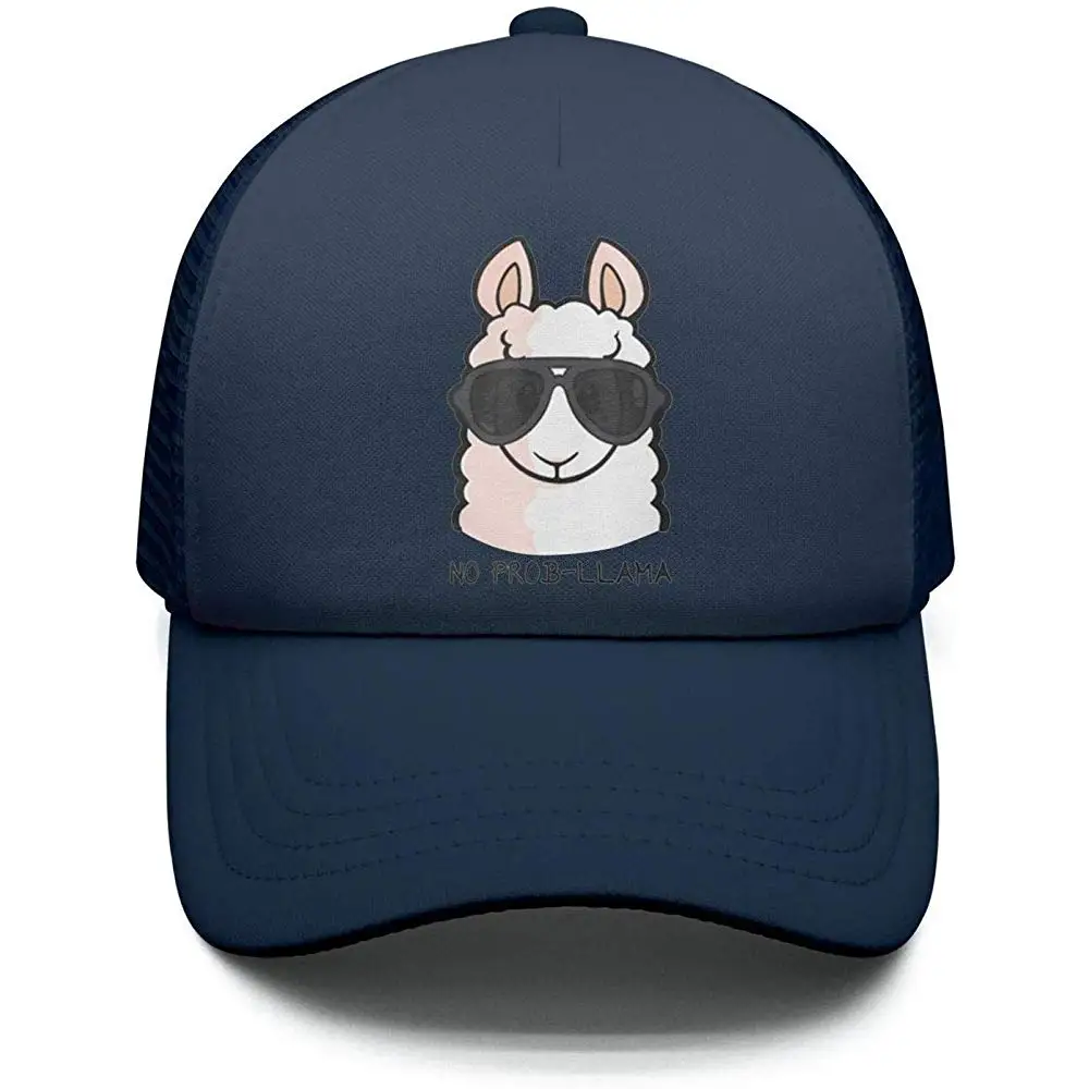 Без проблем лама Подростковая Молодежная шапка Регулируемая забавная шапка для мальчиков или девочек