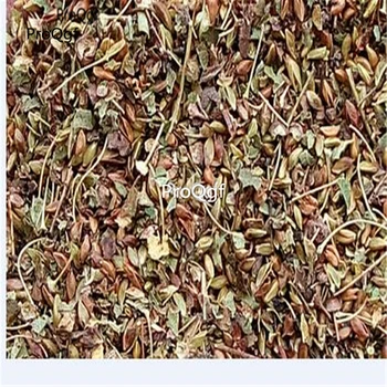 

Ngryise 3000pcs Spiraea bumalda Gold Flame