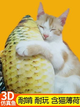 

Pets Toys For Cats Pet Accessories Fishing Cat Toy Fish Accessories Cat Toys Products Pet Mascotas Juguetes Toy Cat JJ60MWJ