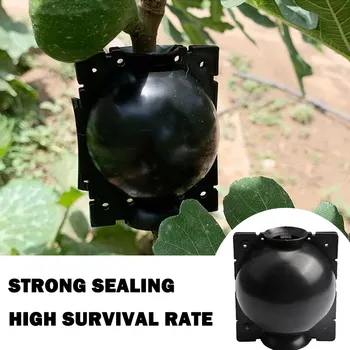 

Plant Rooting Grow Box Plant Root Propagation Ball Container Grafting Box to Root Booster Outdoor Garden