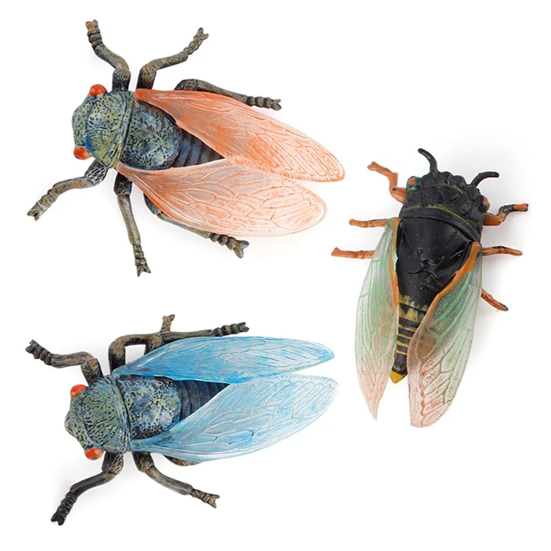 

3 Pieces Simulated Insects Sets Children Early Learning Toys Solid Static Animal Model Ornament Realistic Insect Cicada Model