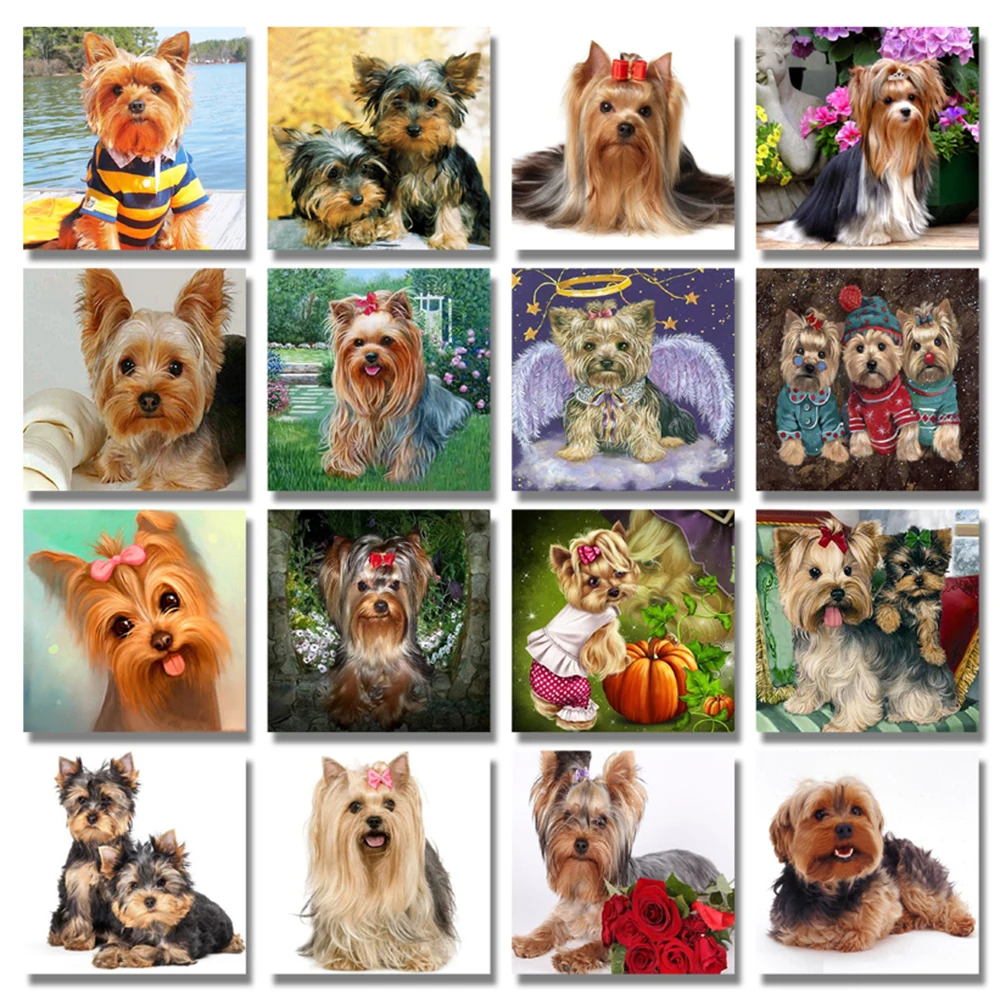 H46facf5355744f969f5ff7b391dedadb2