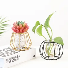 Baskets Stand-Holder Terrarium-Container Planters Desk Flower-Pot Iron-Line Home-Decor