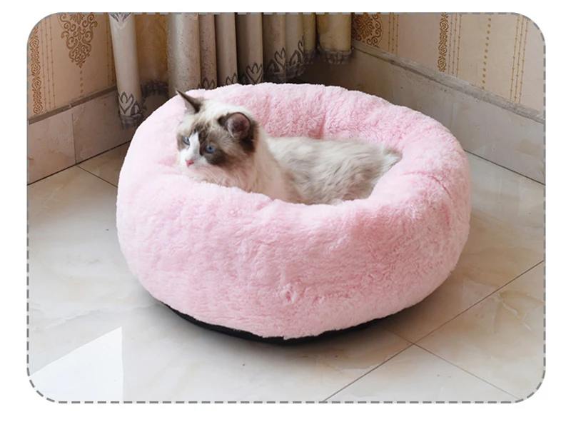 10806721546_459882202