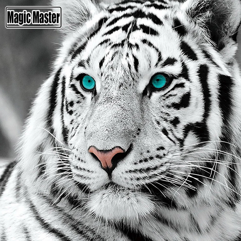 DIY 5D Full Diamond Painting Cross Stitch White tiger Embroidery Needlework Patterns Rhinestone kits | Дом и сад