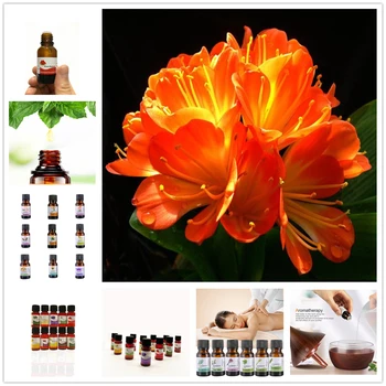 

Pure Essential Oils 10ML Humidifier Diffuser Massage Myosotis Sylvatica Eucalyptus Oil Essential Regulate Endocrine Improve Mood