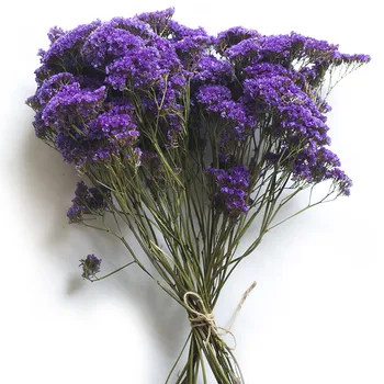 

20pcs Purple flowers dried forget-me-not flower bunch natural plants christmas wedding decoration flowers Non ti scordar di me