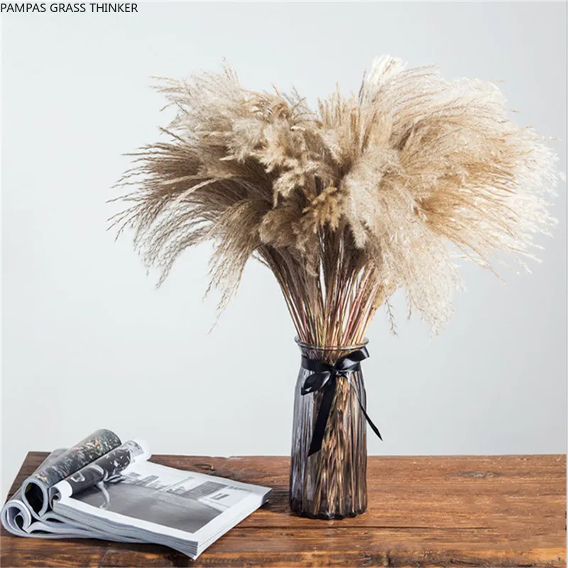 

Plume 30cm tall wedding decor flower bunch small pampas grass home decor real pampas grass reed 20pcs natural plant ornaments