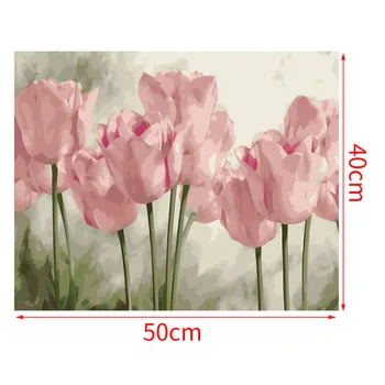 

DIY Paint By Numbers Kit Oil Painting On Canvas Home Wall Xmas Decor For Beginners Adults Kids Tulip Flowers 40 x 50cm