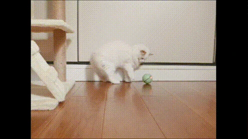 Pet Jumping USB Ball светодиодный флэш 360 градусов Роллинг игрушка для домашних животных электрический движение активированный мяч для питомцев прочный умный интерактивный CatDogToy
