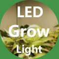 PD Grow Lamp-Night Light Store