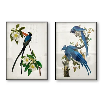 

Vintage Bird Print Audobon Birds of America Poster Canvas Print Magnolia Columbia Jay Fork-tailed Flycatcher Wall Art Picture