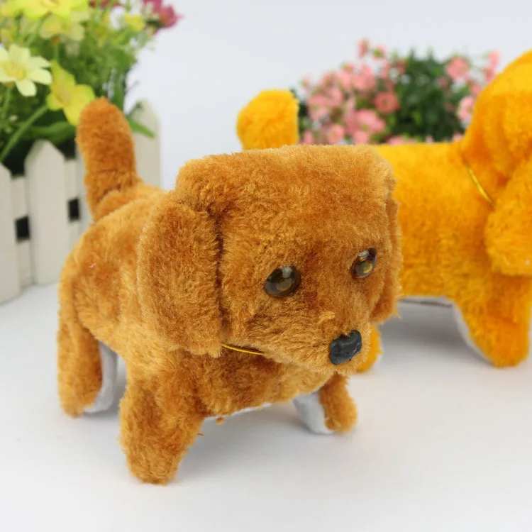 2099224851_1651787607