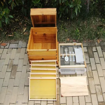 

Full wooden Beehive with frame in beehive base cooking finished fir Garden beekeeping tool D007
