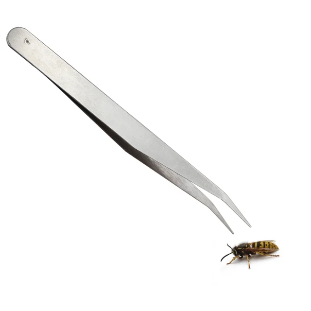 Méh Csipeszek Méhek Lárvák Bábok Átadása Különleges Méhészet Csipesz Kaptárcsapda Méhészkészletekhez