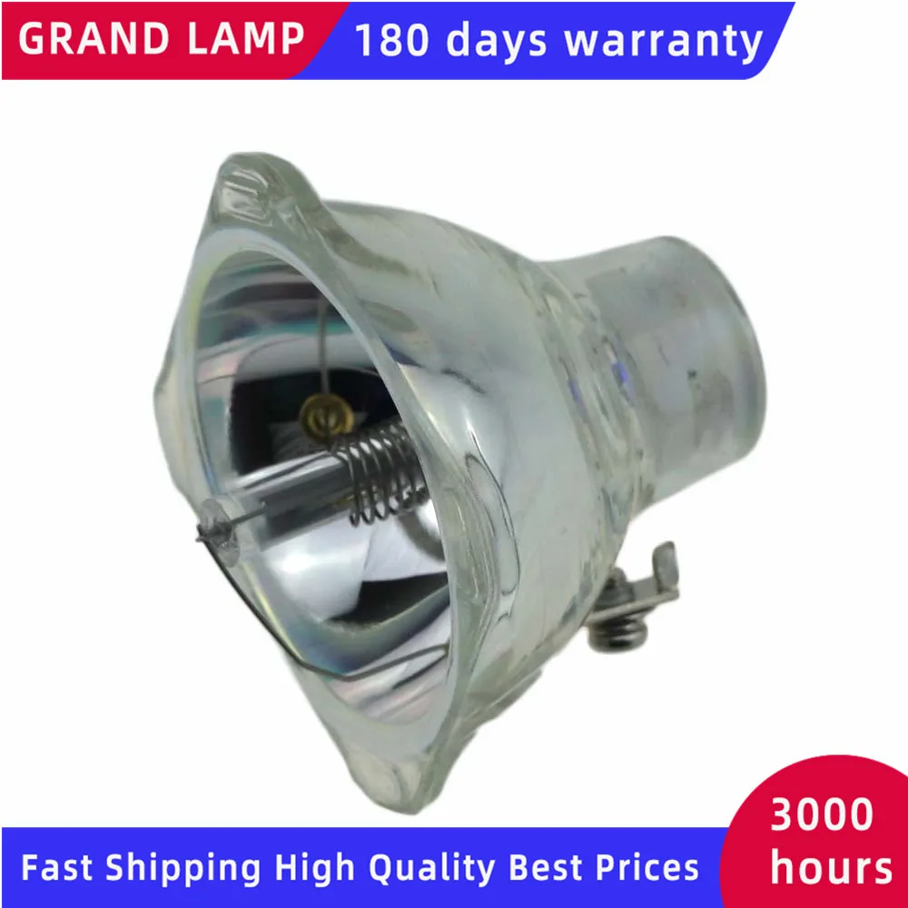SP-LAMP-003-3