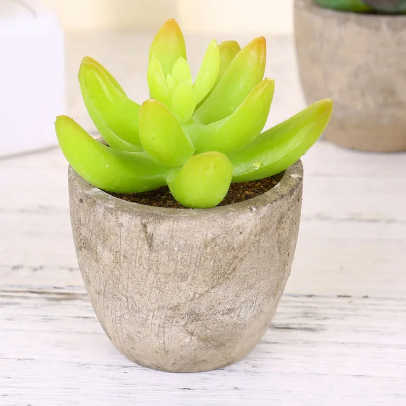 Mini Artificial Succulent Decorative Bonsai Plant