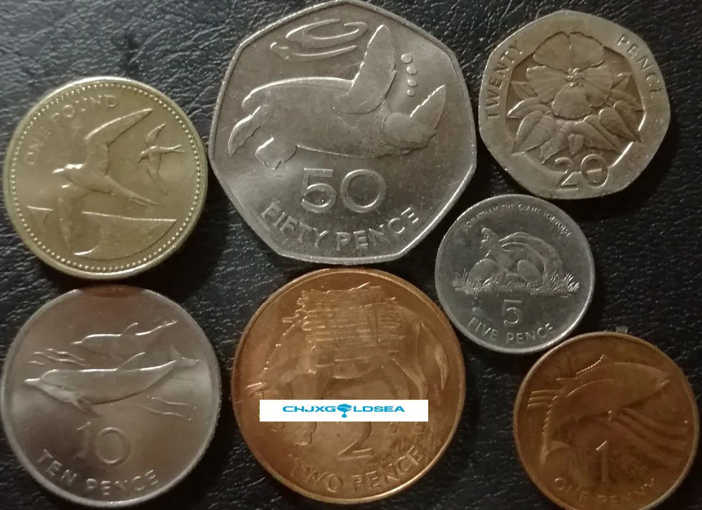 O1CN01p1Q6561oJw66IZ9D8_!!391695205