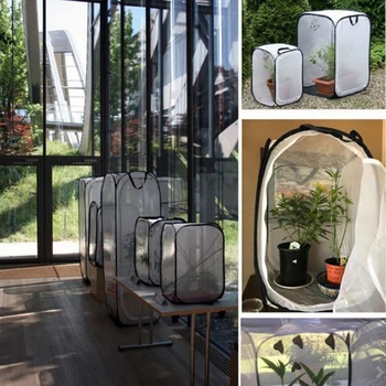 

Praying Mantis Stick Insect Butterfly Cage Housing Stick Insect Breeding Chameleon Cages Net Cloth Butterfly Net