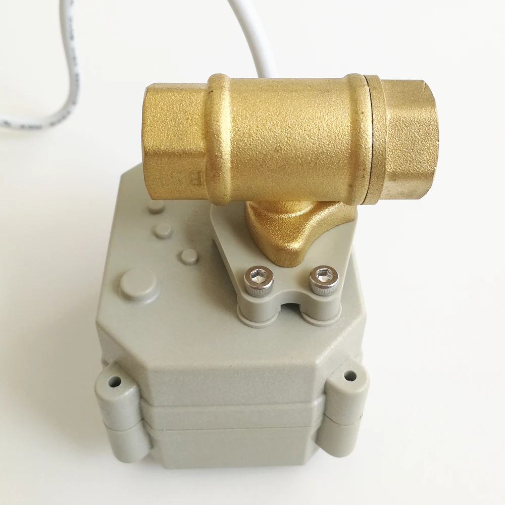 BSP/NPT 1 "моторизованный клапан TF25 B2 C AC110V 230V 2 полосная DN25 автоматизированных