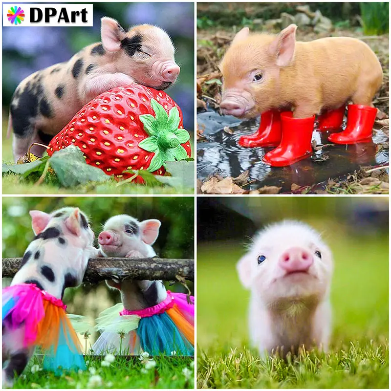 Diamond Painting Full Square/Round Drill Animal Pig 5D Daimond Embroidery Cross Stitch Kit Mosaic Rhinestone Picture Decor A207 | Дом и сад