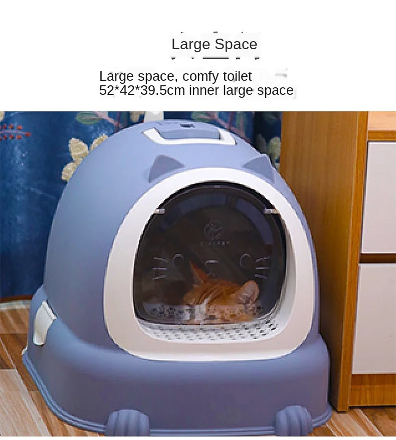 11885843964_1832630538