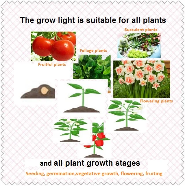 Phlizon grow lamp cob led grow light 3000 Вт полный спектр led kweeklampen растущий свет для Цветение растений дропшиппинг