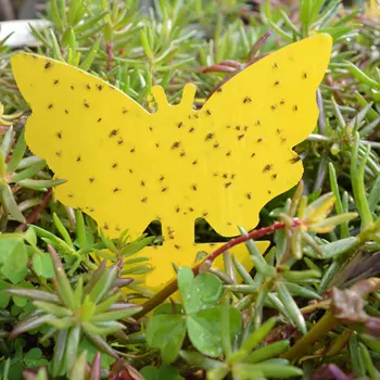 

20pcs Butterfly Shape 2-sided Sticky Board Plant Flowers Vegetables Mosquito Flies Trap Board Insect Control Board Insect Sticky