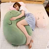 Dinosaur Huggable Plush Pillow 1