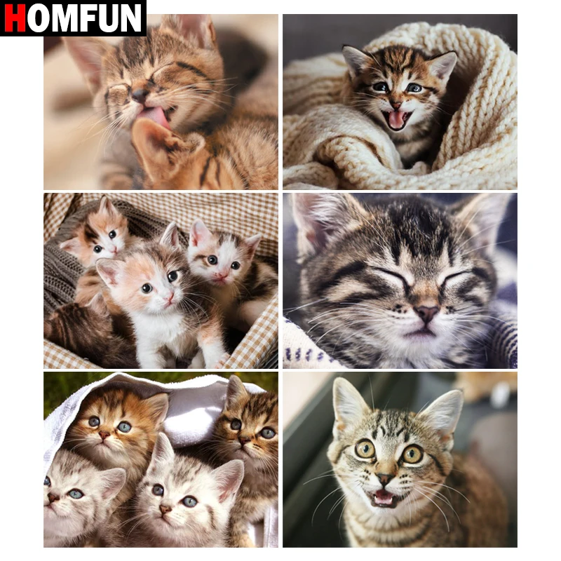 Алмазная 5d картина HOMFUN полноразмерная/круглая Котенок Стразы алмазная вышивка