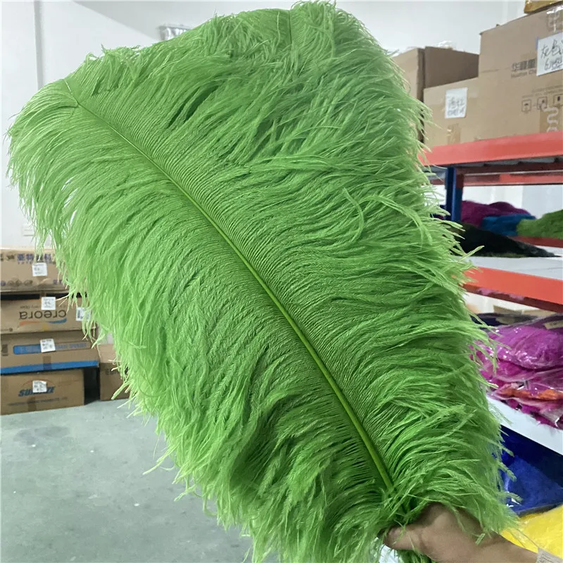 

Sale 20-50pcs/lot Fluffy Green Ostrich Feathers for Crafts 26-28inches/65-70cm Diy Decoration Supplies Wedding Dancers Feather