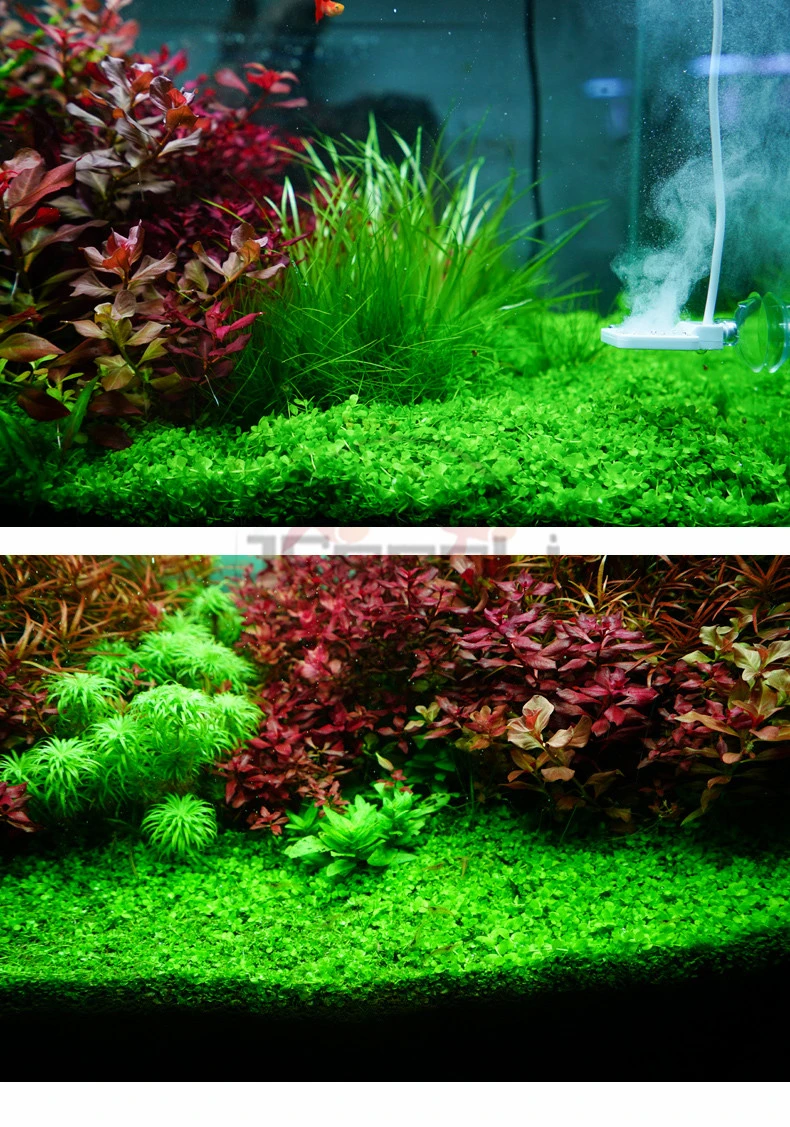 Chihiros RGB VIVID2 LED Light lighting Bluetooth WIFI APP Major Aquatic Plants Lamp Plate Grass Pot Landscape Fish Tank Aquarium