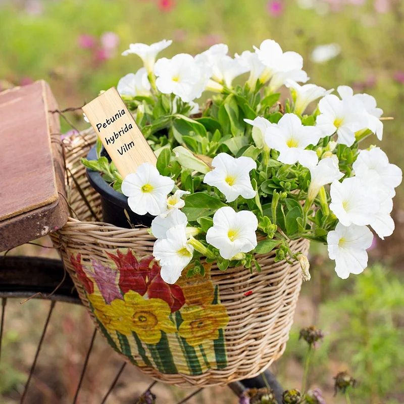 

Bamboo Garden Plant Labels Vegetable Herbs Gardening Markers T-Type Plant Tags Sign Tags with Box for Plants 100Pcs