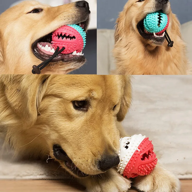 详情&使用图 (11)