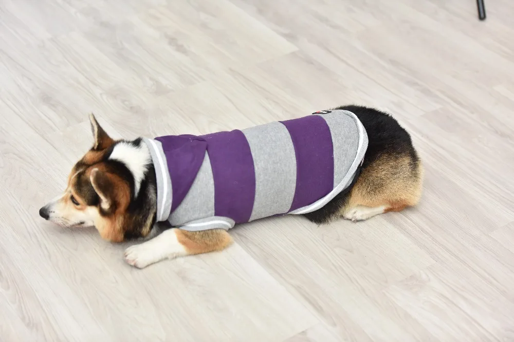 Одежда для домашних собак удобные мягкие толстые теплые толстовки для собак модная осенняя одежда для собак для маленьких средних собак Тедди