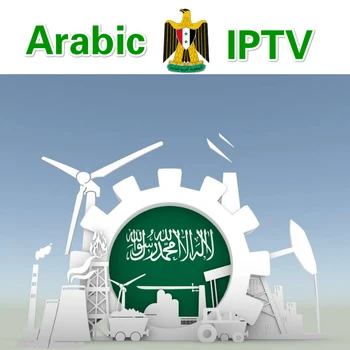 

6/12 Months Arabic IPTV UK Netherland europe iptv for Android m3u enigma2 xxx French FHD tv box