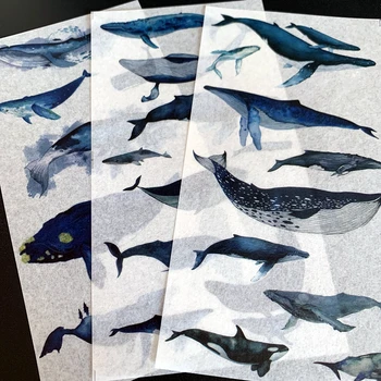 

2019 Latest Diary Sticker Sakura Planet Sticker DIY Sticker Creative Retro PVC Transparent and Paper Sticker