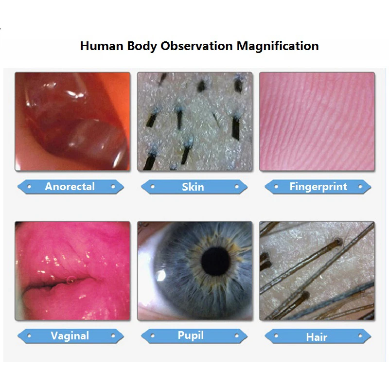 200X цифровой микроскоп светодиодный USB микроскоп Эндоскоп камера зум видео микроскоп 0.3MP тестирование волос кожи электронный микроскоп