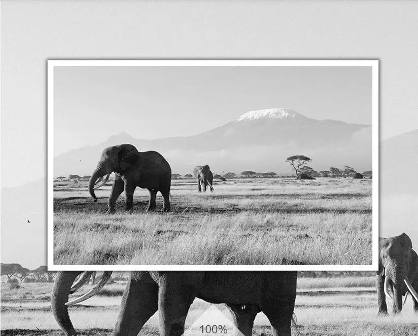 QQ截图20200627160833