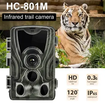 

HC-801M Hunting Camera GSM 12MP 1080P Photography Trap Night Vision R aw Animal Infrared Hunting Tracking Camera Hunting Scout
