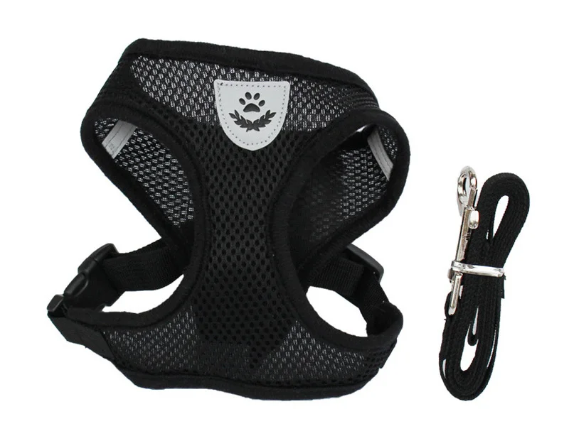 dog harness lead