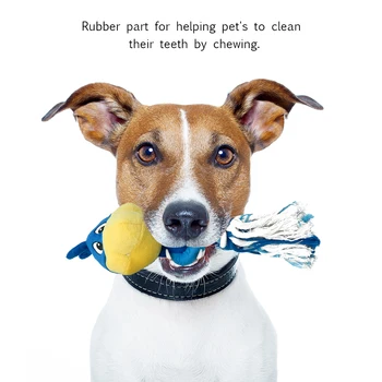

New Squeaky Pet Toy for Cats and Dogs Squeeze Screaming Chew Toys Interactive Small Large Dog Toys Bite Resistant Pet Supplies