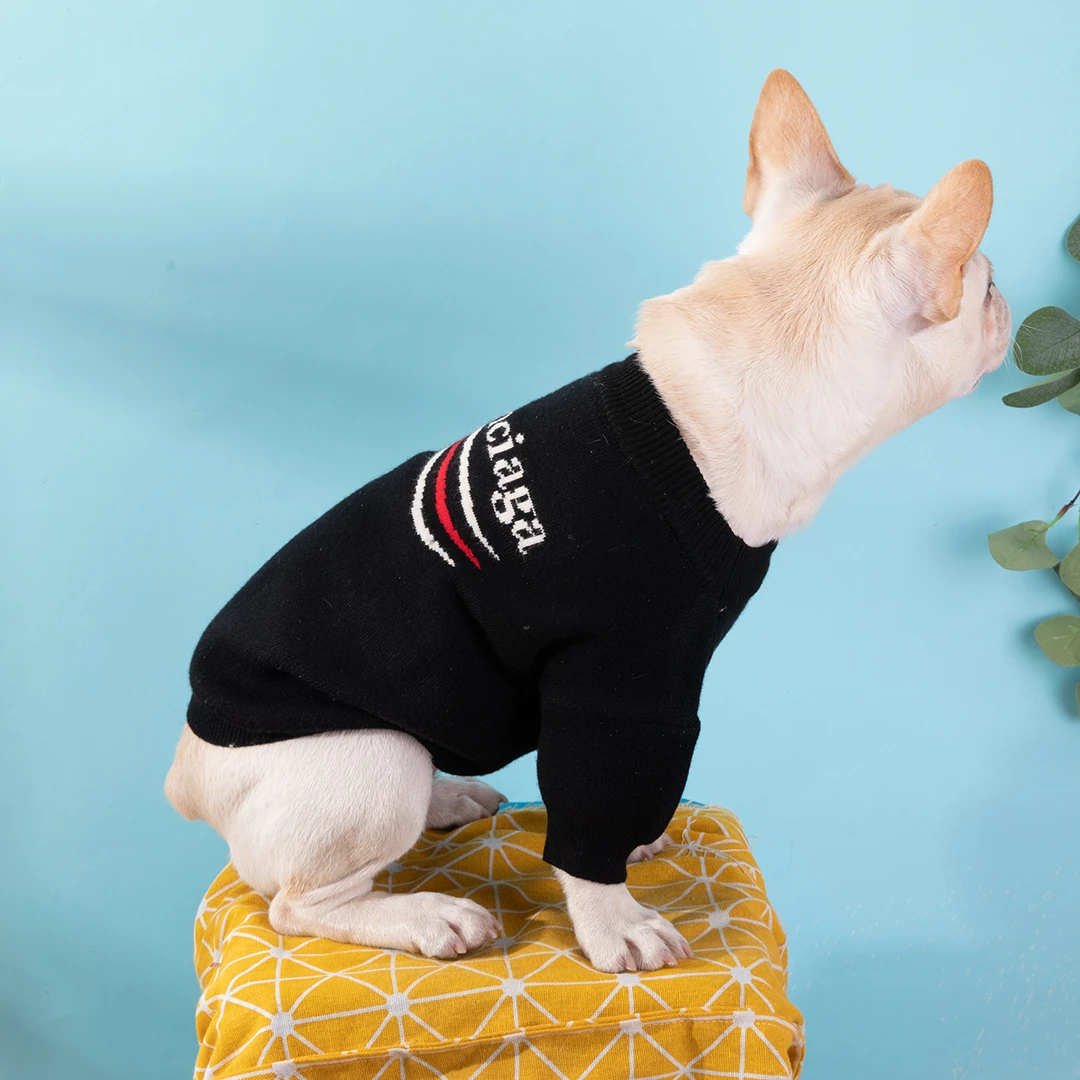 Suéter de diseño de lujo para perro, ropa para perros pequeños, ropa para  cachorros, Bulldog Francés, osito, Hiromi, Yorkie, ropa para mascotas,  ZY3042, nuevo - AliExpress Hogar y jardín