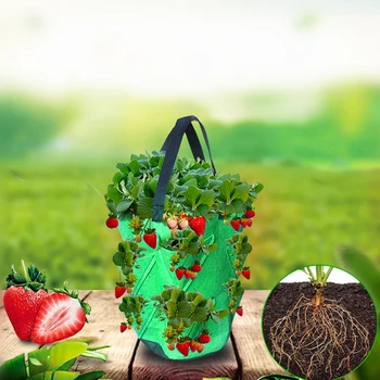 

3 Color Non-woven Planting Container Office Flowerpot Decorative Strawberry Flower Hanging Bag