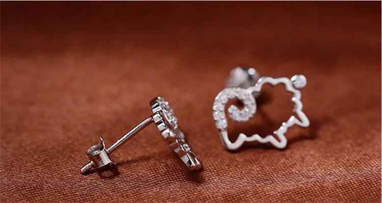 9589096099_1966409281