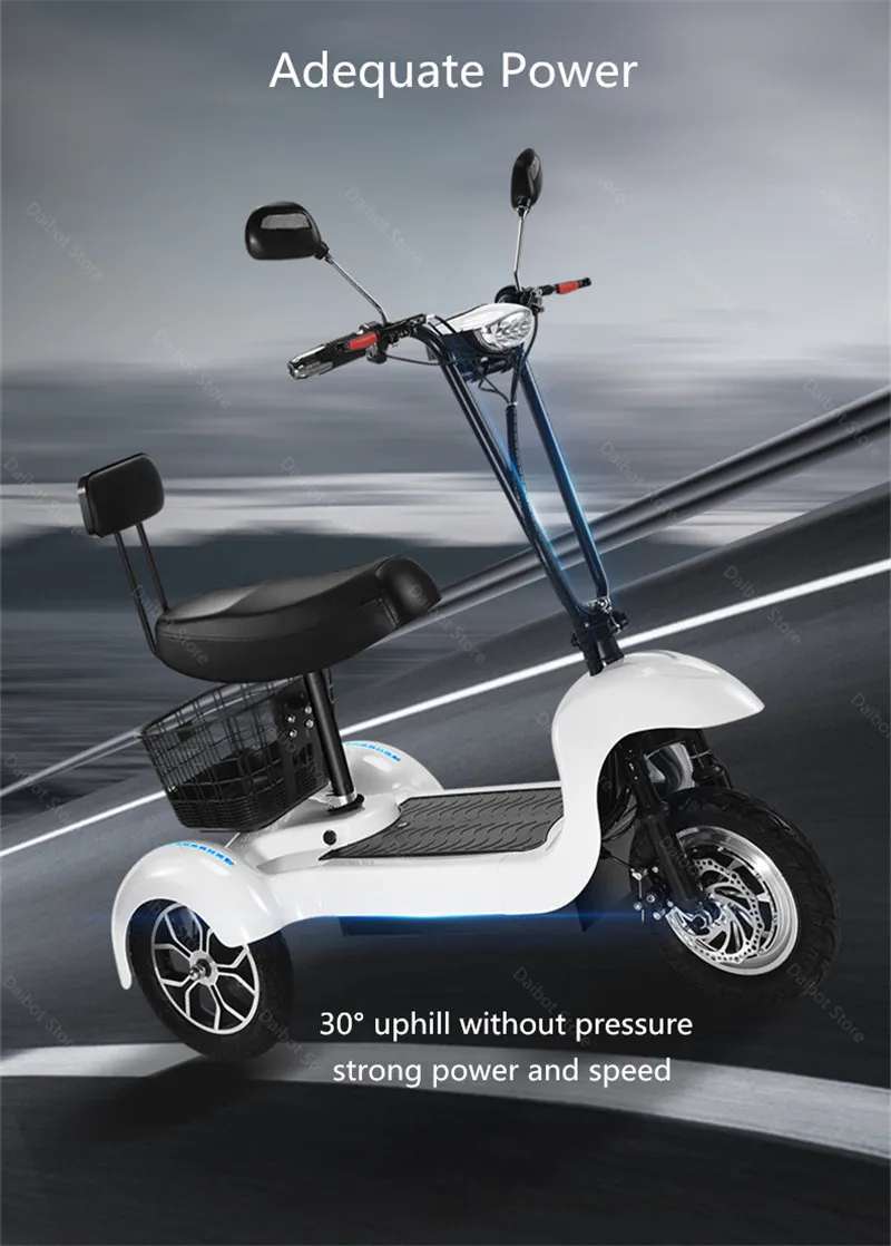New 3 Wheel Electric Tricycle Three Wheels Electric Scooters 500W 48V Max Speed 35KMH Smart Electric Elderly Scooter (65)