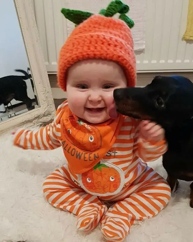 PUDCOCO Newborn Baby Boy Girls Halloween Clothes Pumpkin Romper